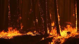 Wildfire Preparedness is Year Around